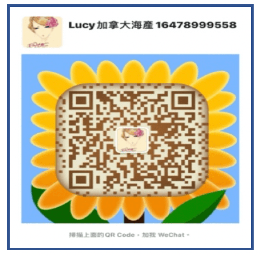 WeChat QR Code
